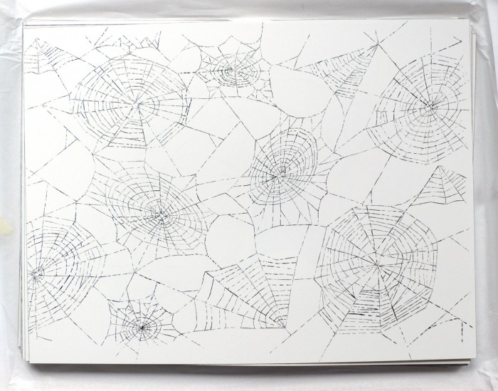 2008_spiderweb