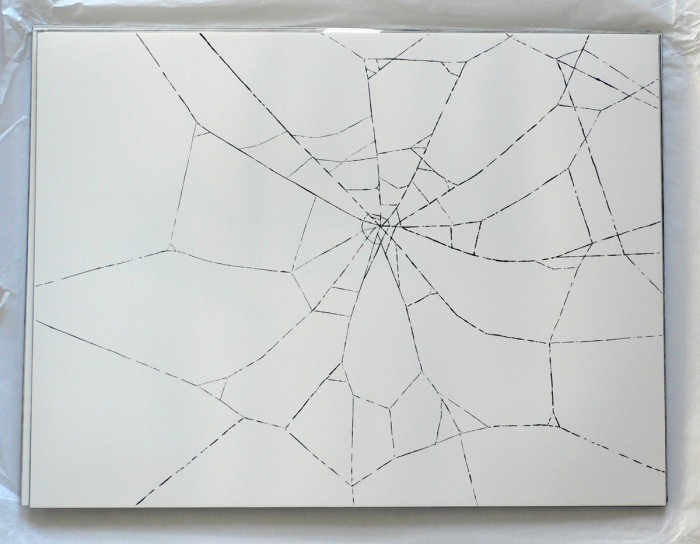 2008_spiderweb2