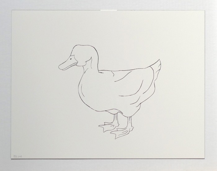 2009_duck_left