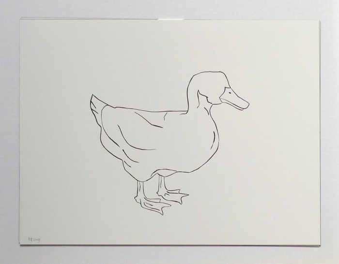 2009_duck_right