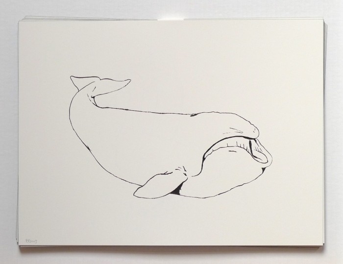 2009_whale